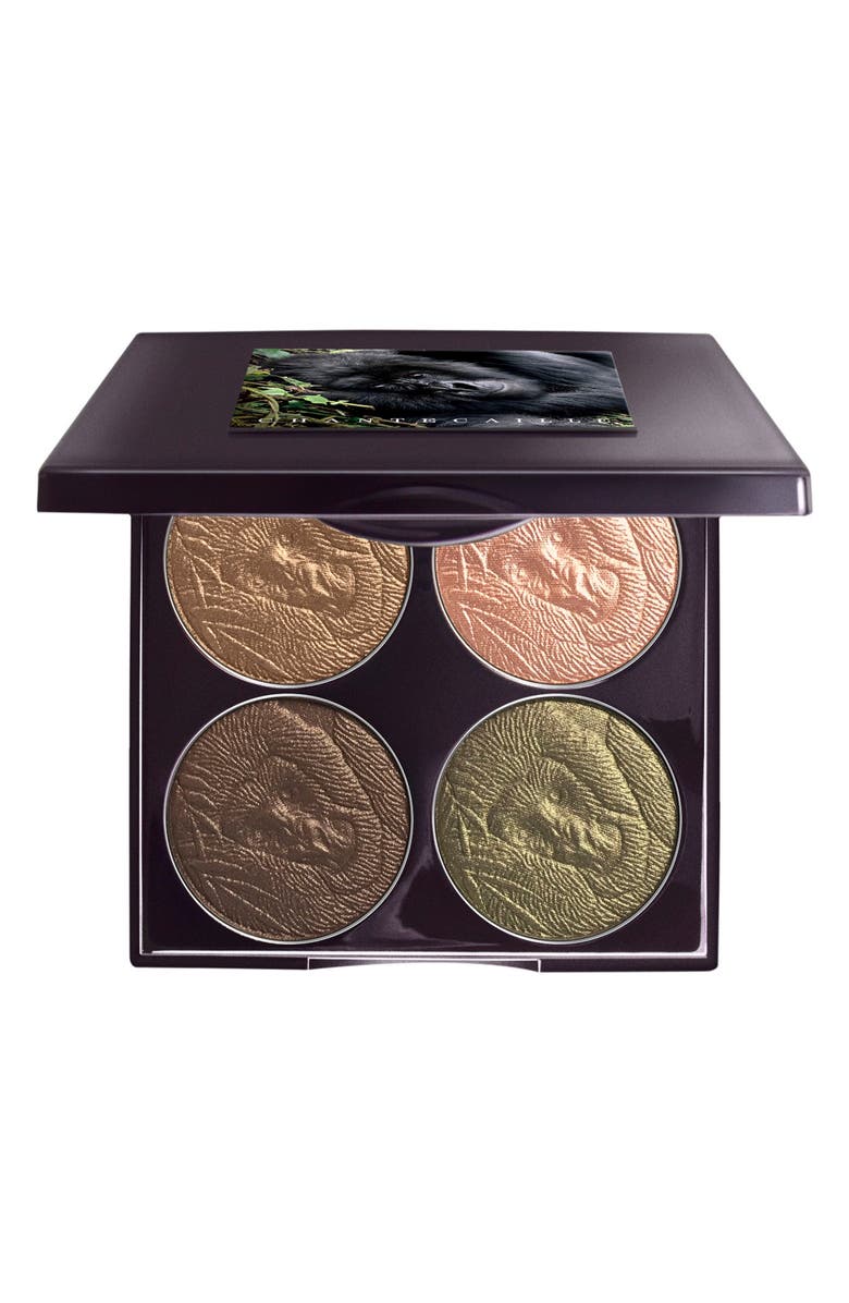 Chantecaille Save the Forest Eye Palette, Main, color,