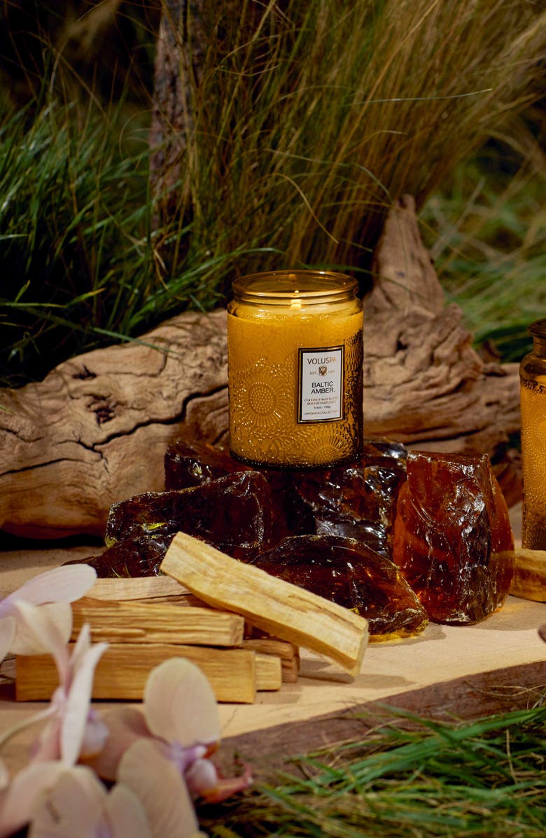 Voluspa Baltic Amber Small Jar Candle, Alternate, color, Baltic Amber