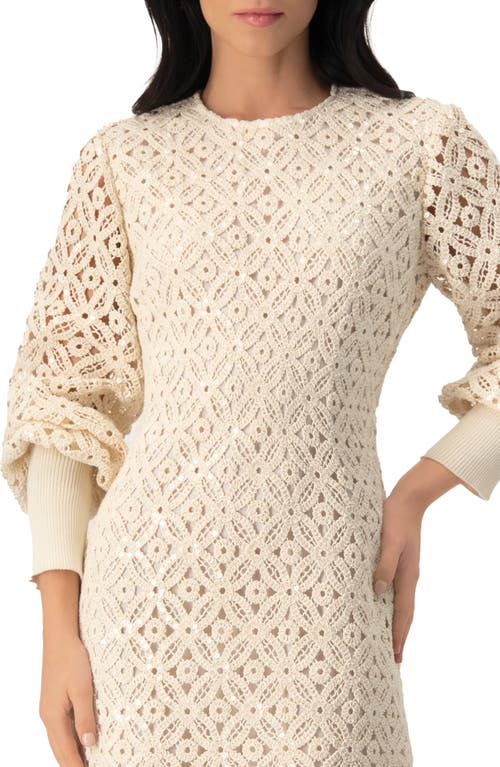 Ivonne Embroidered Crochet Mini Dress With Sequin Detailing In Brown