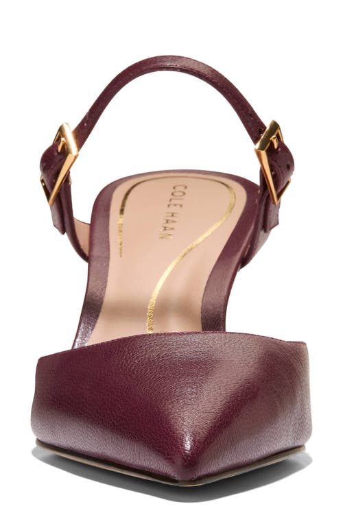 Cole Haan Annalise Pointed Toe Mule