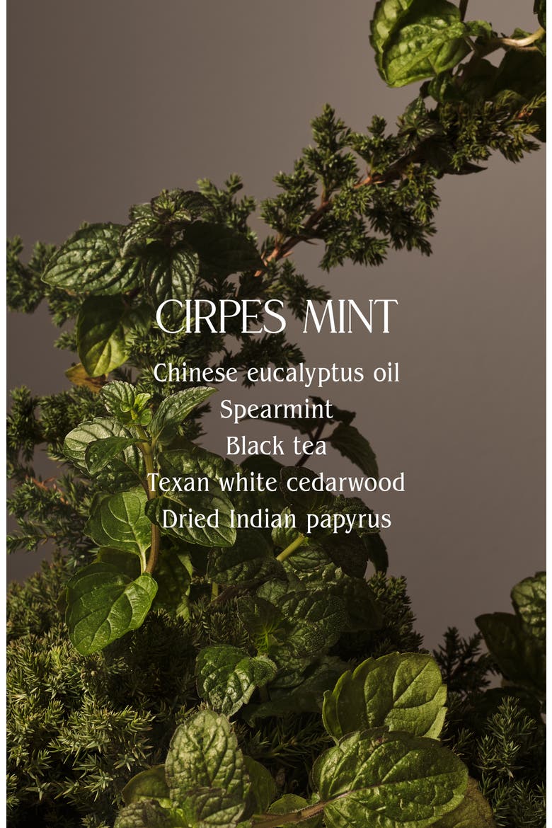 Cipres Mint Hand Cream, Alternate, color, DARK GREEN