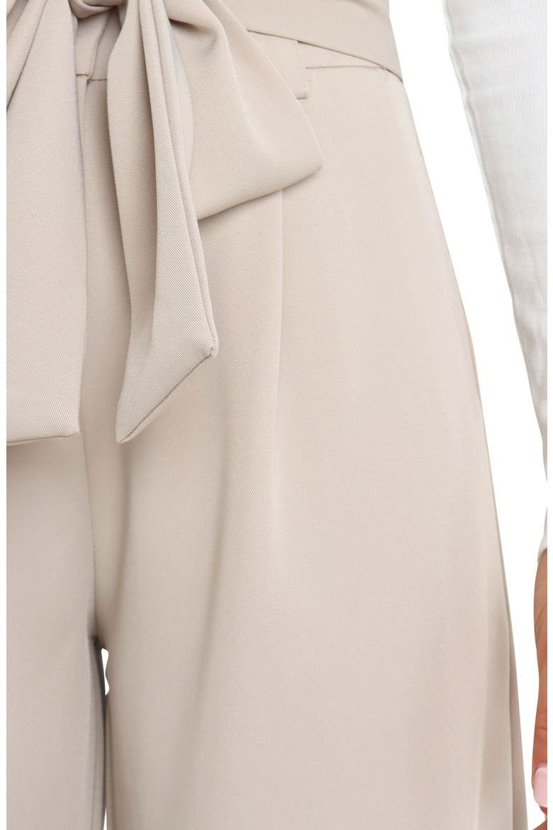 Kieran Tie Waist Wide Leg Pants, Alternate, color, BEIGE