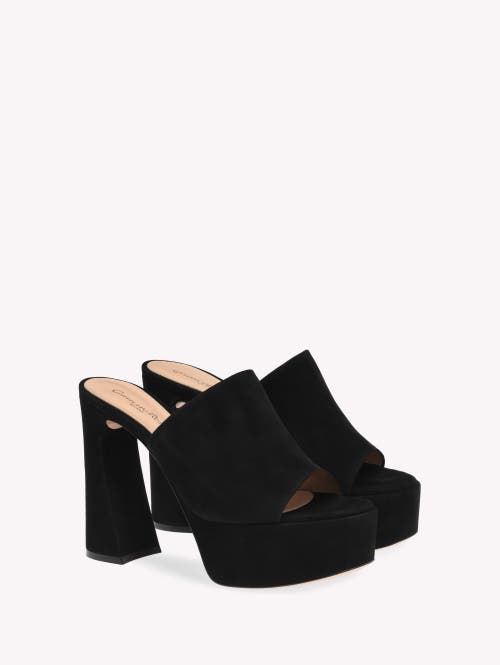 Gianvito Rossi Holly 70mm Platform Suede Mules In Black Suede