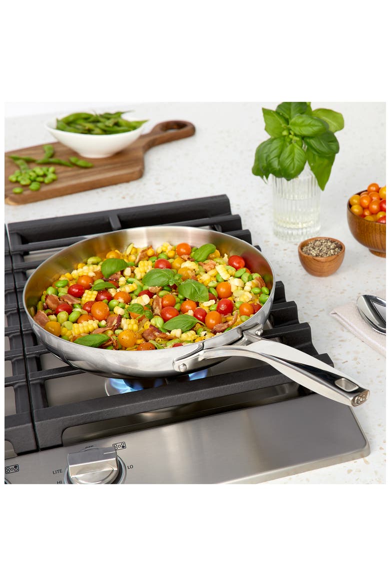 Premier Stainless Steel 6-Piece Cookware Set, Alternate, color, STAINLESS STEEL