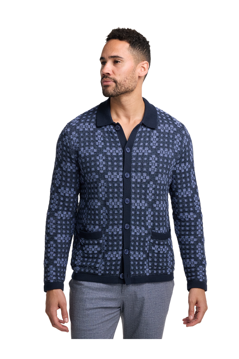 Cotton Button Front Polo, Alternate, color, Navy