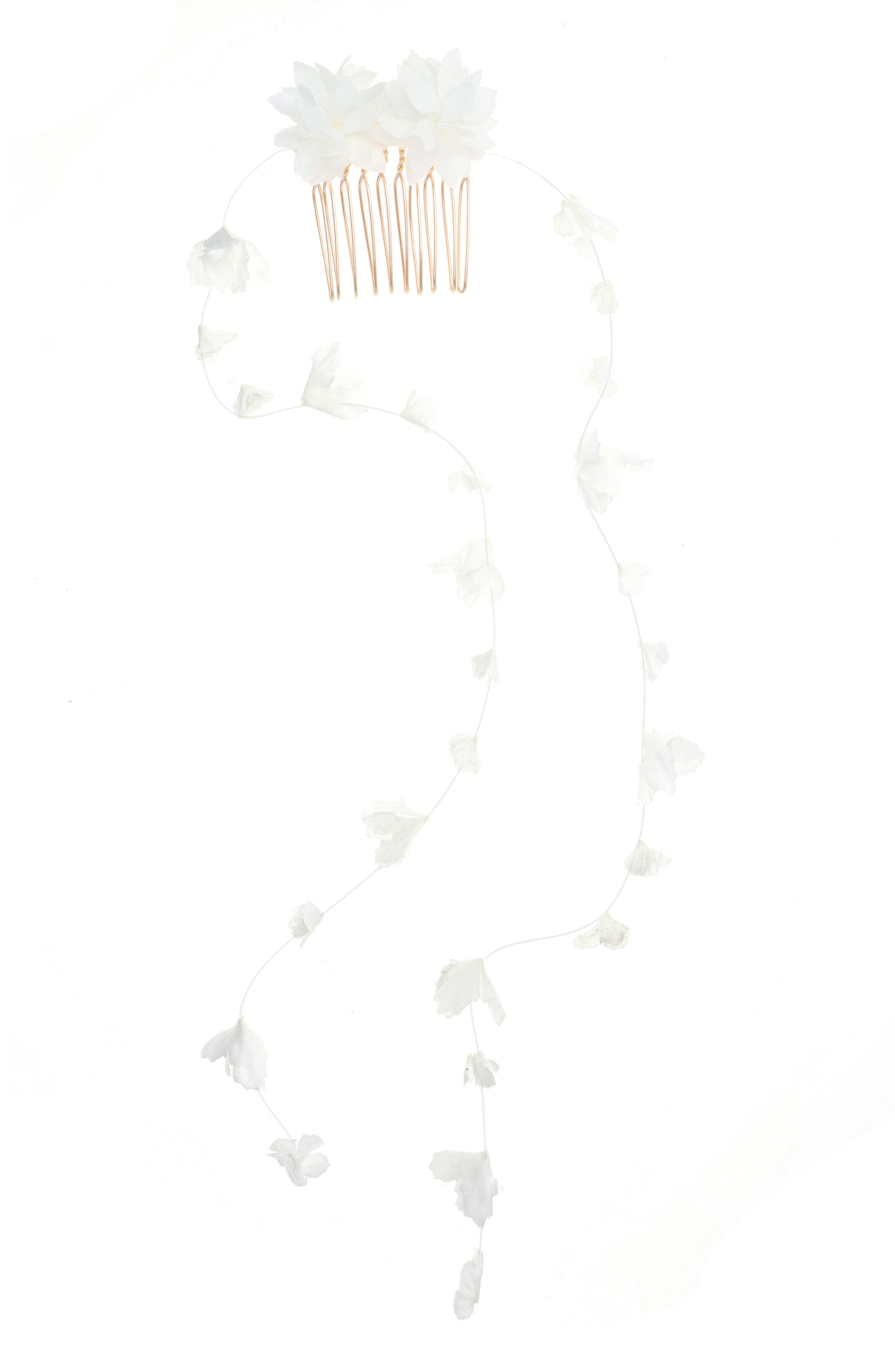 selected IVORY