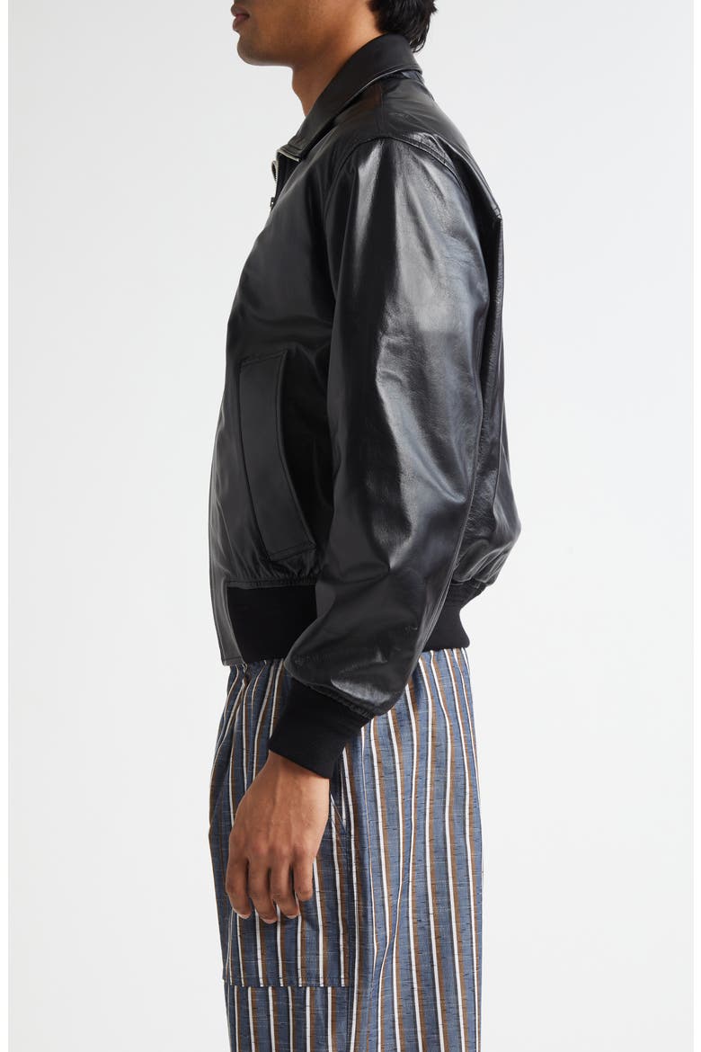 Lambskin Leather Blouson Jacket, Alternate, color, 1000 BLACK