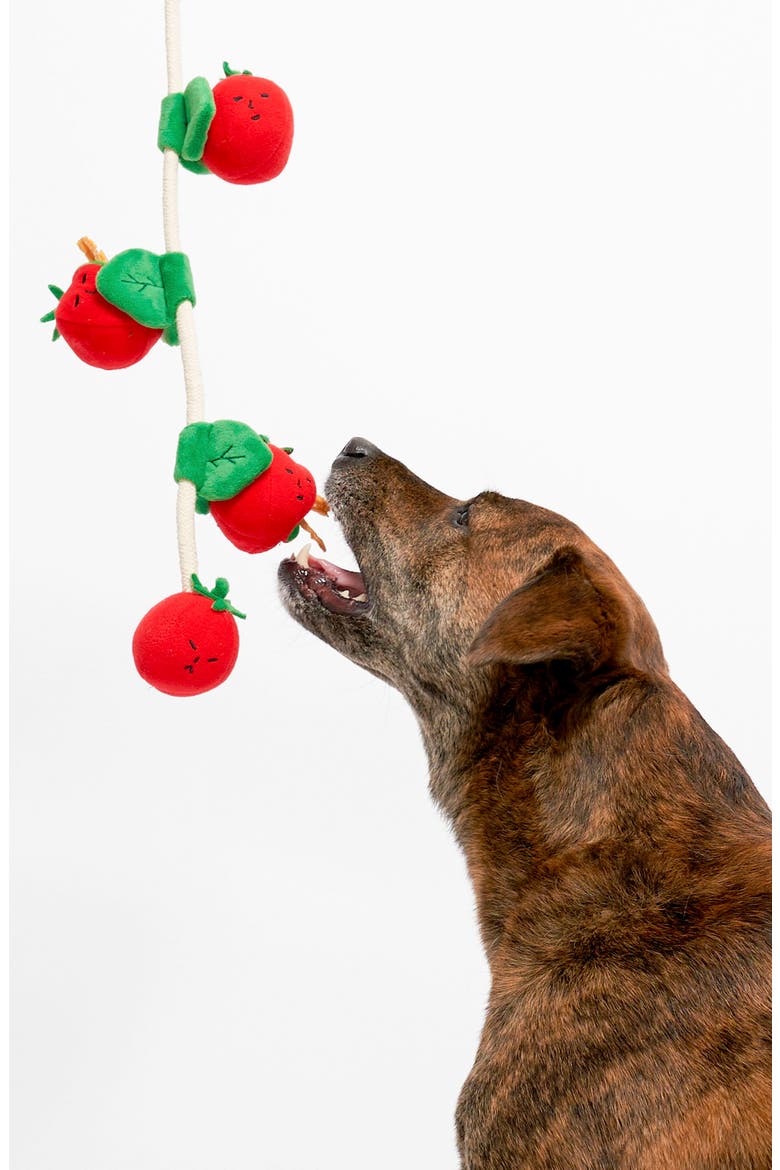 Cherry Tomato Nosework & Tug Toy, Alternate, color, RED