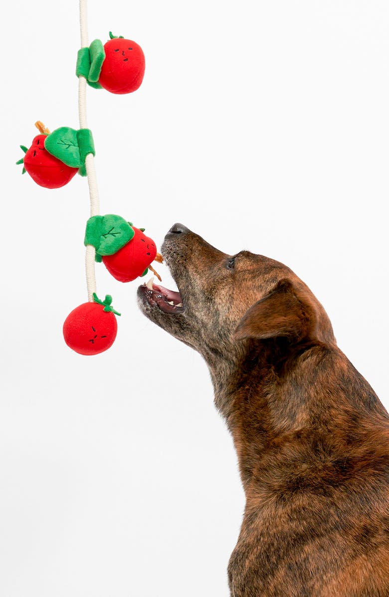 the furryfolks Cherry Tomato Nosework & Tug Toy, Alternate, color, Red