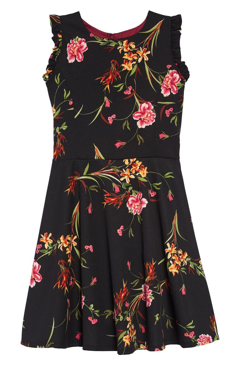 Ava & Yelly Ruffle Sleeve Skater Dress, Main, color, 