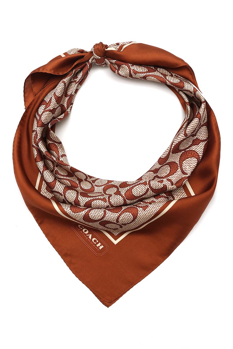 Vintage Signature C Silk Scarf (Women) | Nordstrom