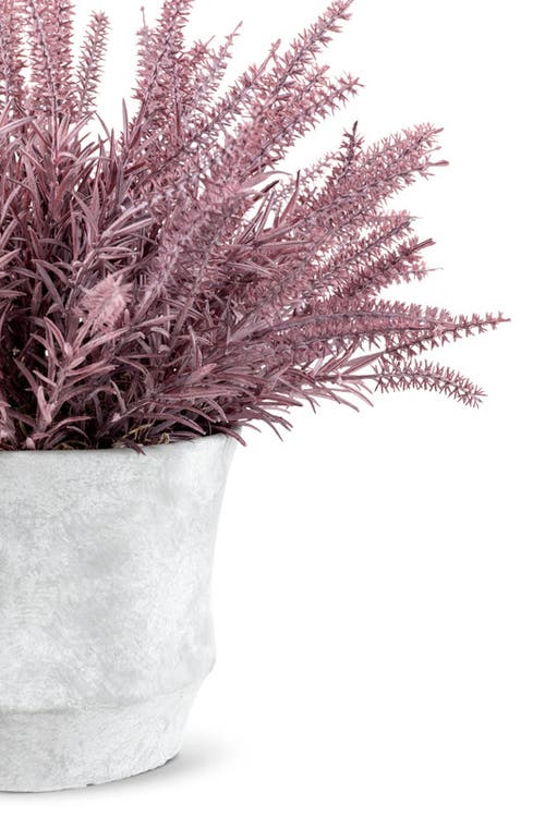 Cocobella Casper Wheatgrass Arrangement In Purple
