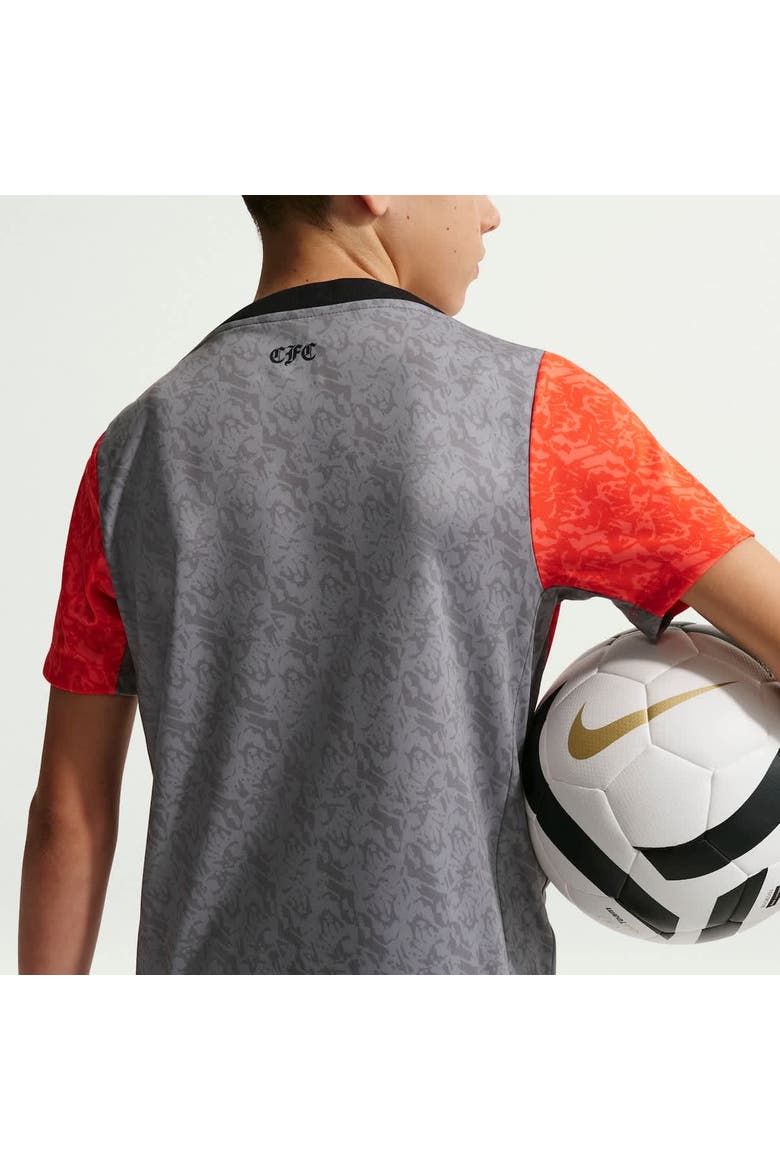 Youth Nike  Gray Chelsea 2025/26 Academy Pro Pre-Match Top, Alternate, color, Gray