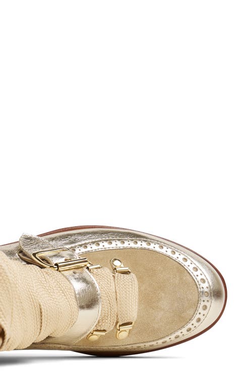 The Office Of Angela Scott Miss Clementine Lace-up Bootie In Multi