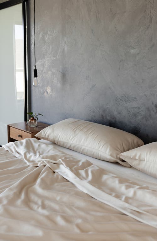 COZY EARTH COZY EARTH SET OF 2 WRINKLE RESISTANT PILLOWCASES