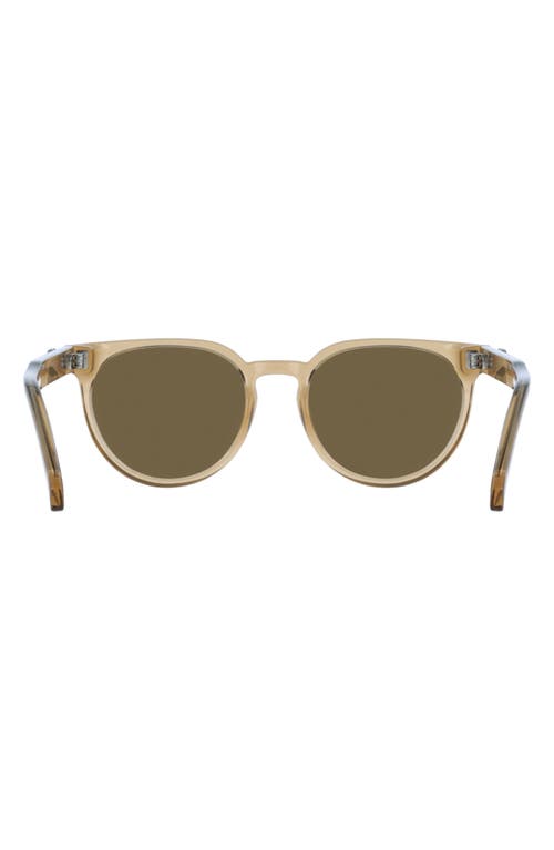 Ferragamo 53mm Round Sunglasses In Transparent Sand