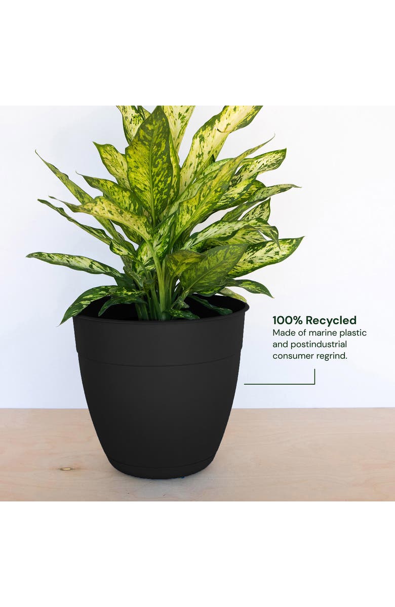 Bloem Dayton Gardening Planter with Saucer Tray, 12 Inch W x 11 Inch H Black, Alternate, color, 