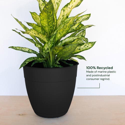 Bloem Dayton Gardening Planter With Saucer Tray, 12 Inch W X 11 Inch H Black In Black