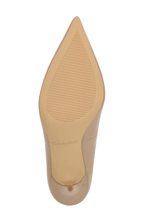 Calvin Klein Leciey Pointed Toe Pump
