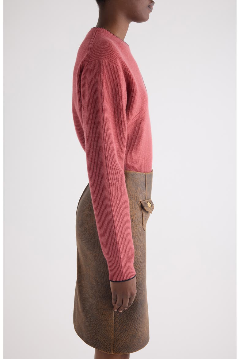 Embroidered Logo Crop Wool & Cashmere Sweater, Alternate, color, COPPERY PINK