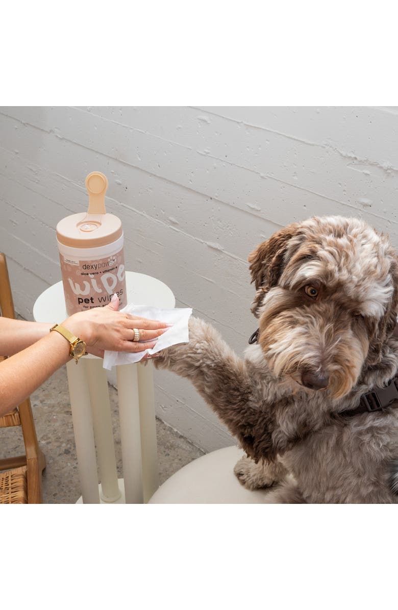 Dexypaws Pet Cleansing Wipes Canister 200Ct, Alternate, color, 