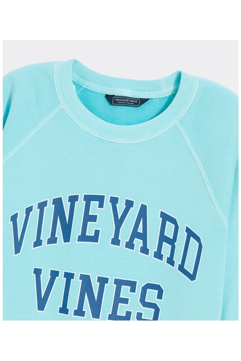 Terry Crewneck Cotton Sweatshirt, Alternate, color, SHALLOW SEA