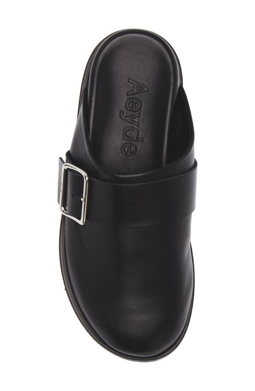 Aeyde Finja Leather Slip-on Loafers In Black