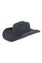 Ribbon Cowboy Hat