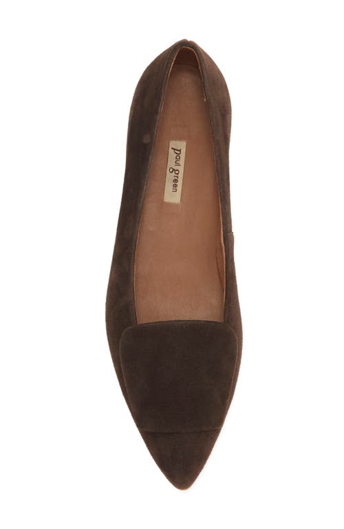 Paul Green Teddy Pointed Toe Flat In Brown