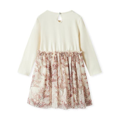Milkbarn Cotton Stretch Long Sleeve Ballet Dress In Purple