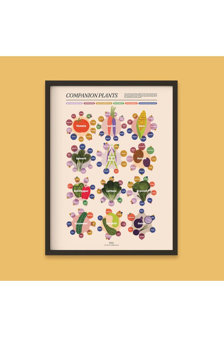 Companion Plants Giclée Print, Alternate, color, Multi