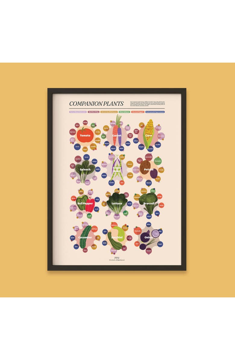 Fun Fact Co. Companion Plants Giclée Print, Alternate, color, Multi
