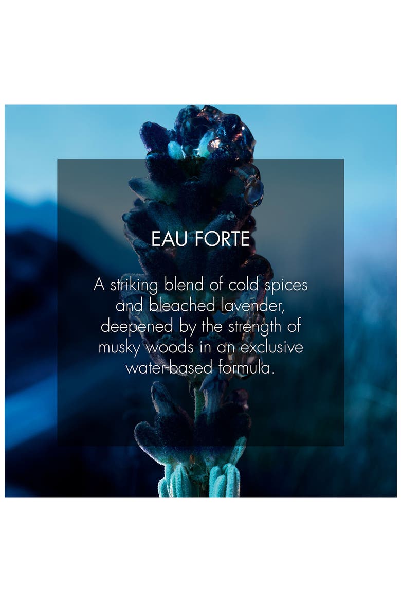 Sauvage Eau Forte Parfum, Alternate, color, NONE