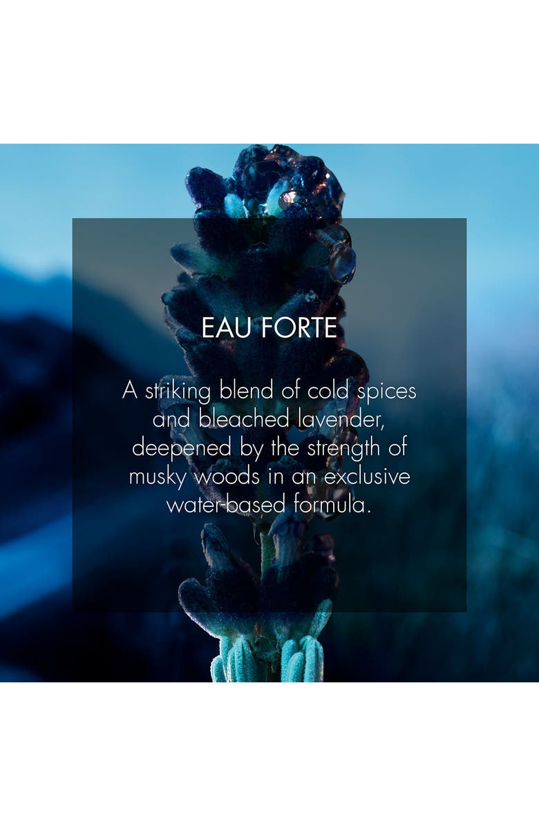 DIOR Sauvage Eau Forte Parfum, Alternate, color,