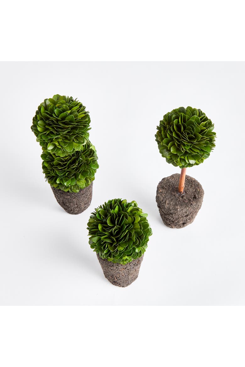 Boxwood Mini Topiary Drop-Ins Set of 3, Alternate, color, Green