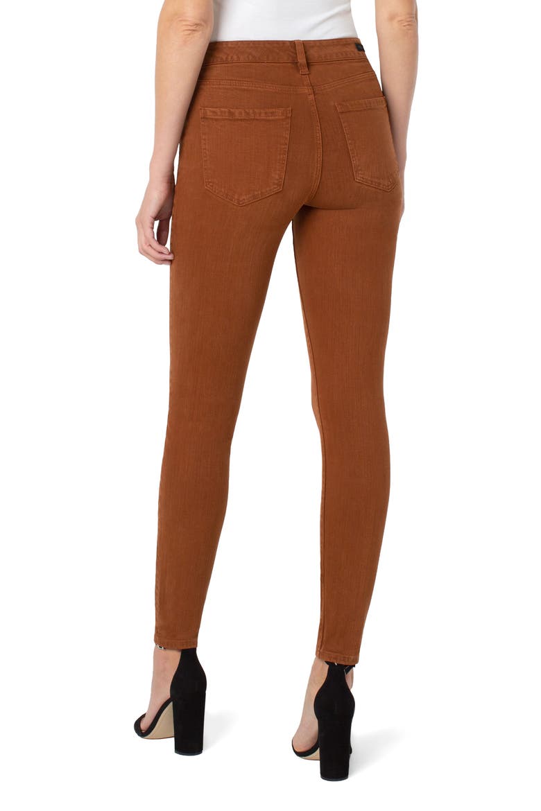 Abby Skinny Pants, Alternate, color, CINNAMON