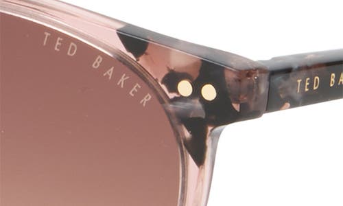 Ted Baker London 53mm Gradient Round Sunglasses In Blush