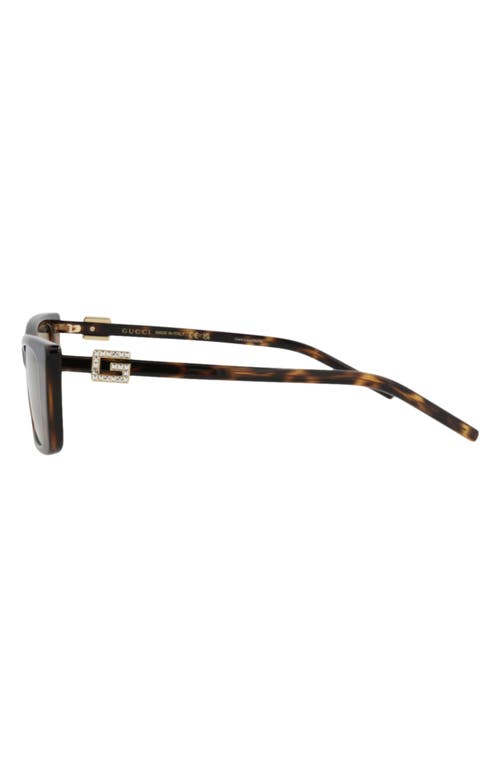 Gucci 53mm Cat Eye Sunglasses In Brown