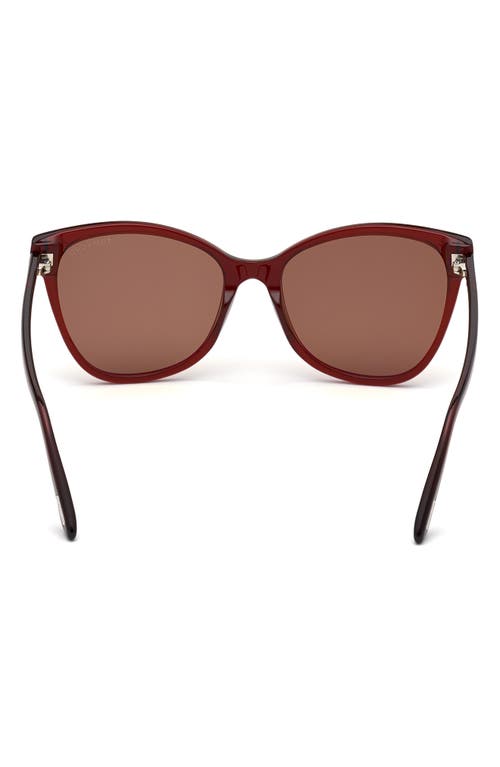 Tom Ford 58mm Cat Eye Sunglasses In Red