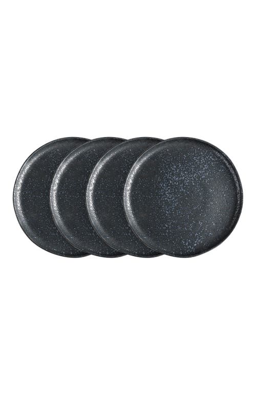 Stone Lain Tom Stoneware 4-piece Dinner Plate Set In Black