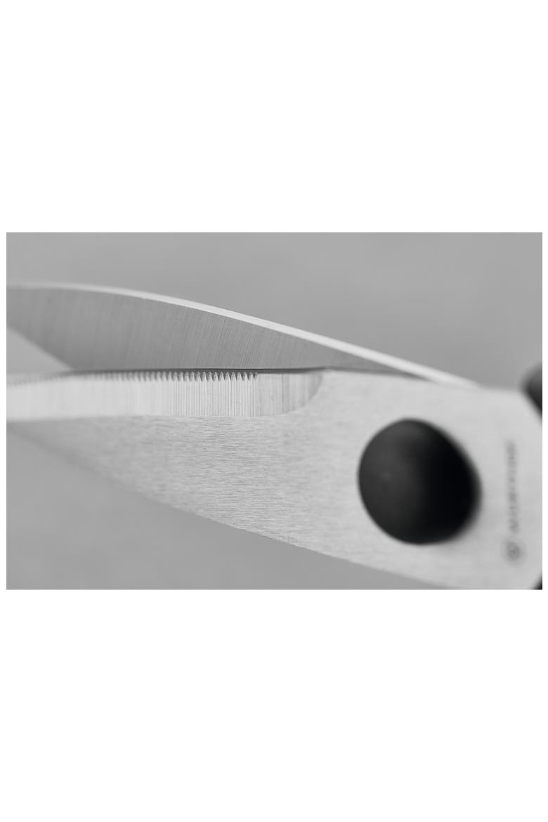 Pull-Apart Kitchen Shears, Alternate, color, BLACK