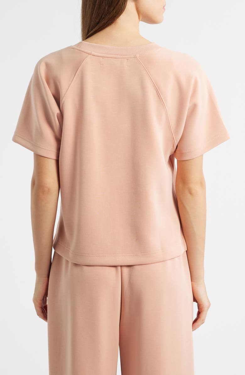 CITY BLUES Raglan Sleeve T-Shirt, Alternate, color, Conch