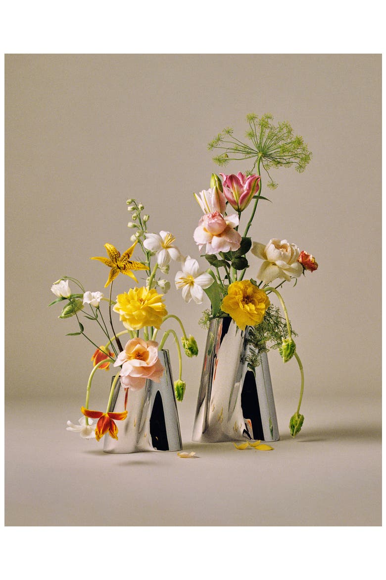 Lituus Stainless Steel Vase, Alternate, color, STAINLESS STEEL