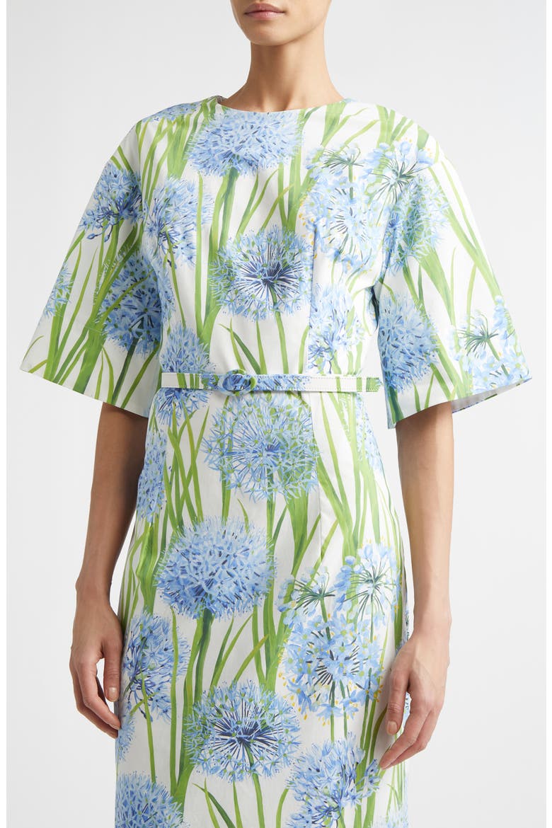 Allium Cotton Stretch Poplin Belted Midi Dress, Alternate, color, BLUE/ WHITE