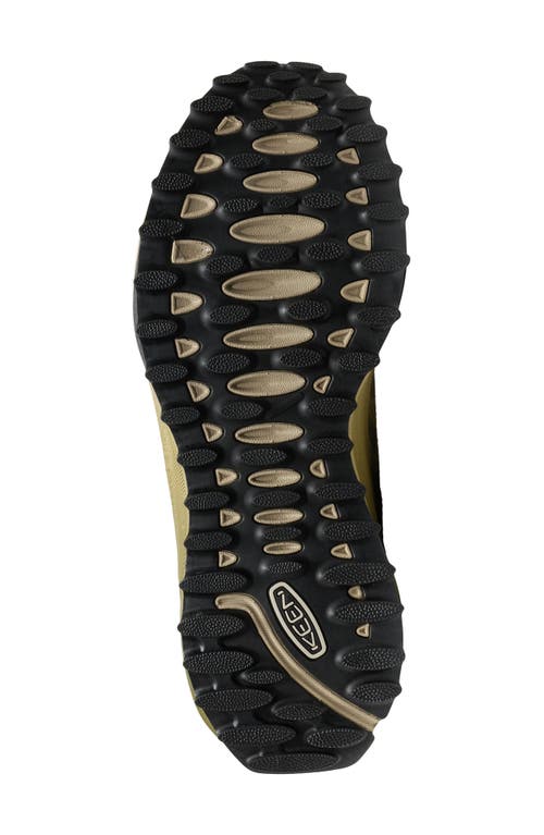 Keen Zionic Nxt Waterproof Hiking Sneaker In Multi