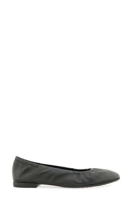 Aerosoles Antonia Flat In Animal Print