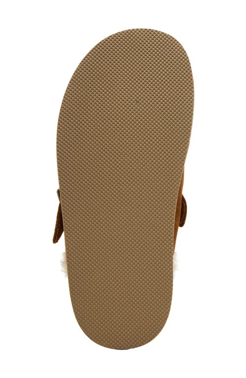 Steve Madden Kids' Jshilo Mule In Brown