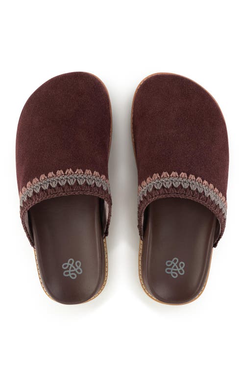 The Sak Bolinas Lug Sole Clog In Multi