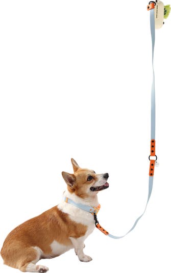 Luna 8FT Adjustable 6-in-1 Waterproof Hands-Free Leash and Collar with LED Flashlight, Bag Dispenser, and Poop Bag Holder