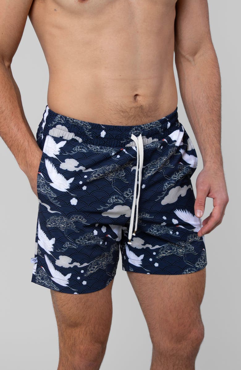 LEISURE LAB Swan Dive Swim Trunk, Alternate, color, Swan Dive